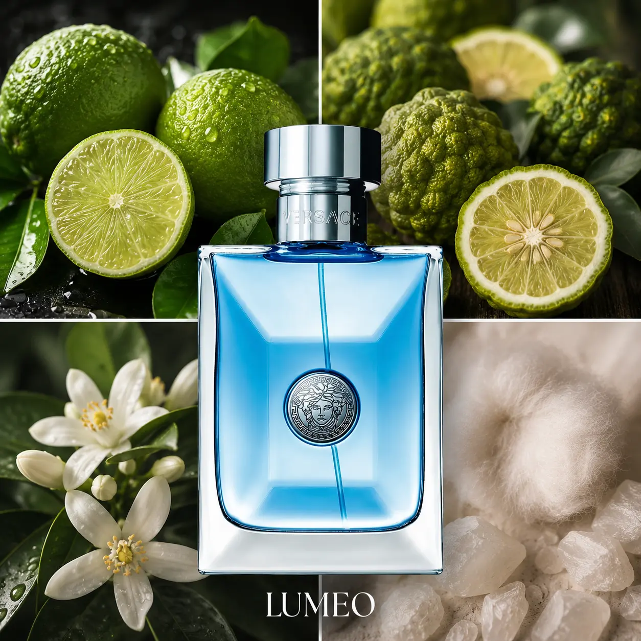Versace Pour Homme | Decants - Imagen 2