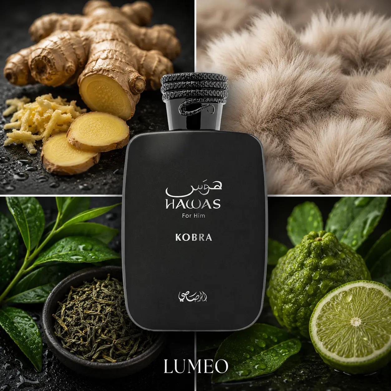 Hawas Kobra | Decants - Imagen 2